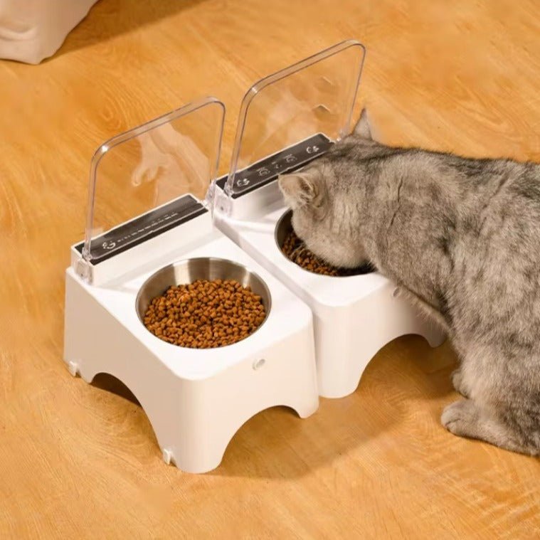 Distributeur automatique de croquettes pour chat chat mange croquettes gamelle