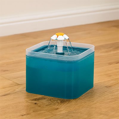 Fontaine a eau chat presentation fontaine couleur turquoise