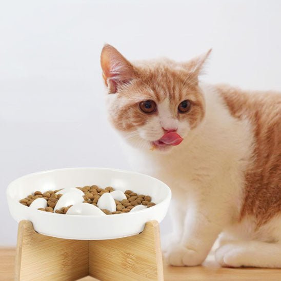 Gamelle anti glouton chat chat savourant croquette