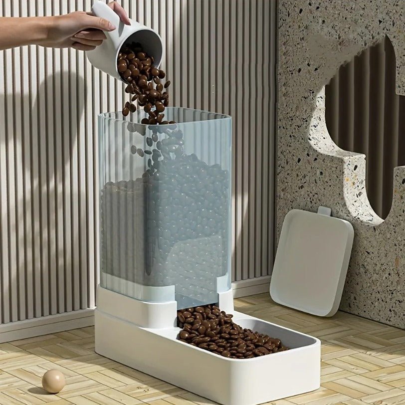 Gamelle automatique chat personne met croquette gamelle