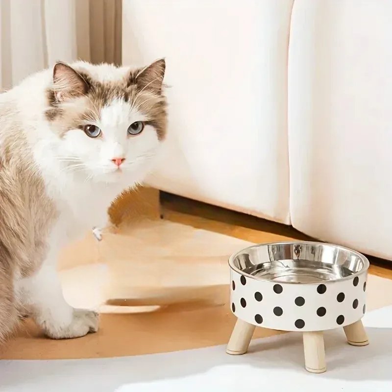 Gamelle chat chat pres gamelle pois