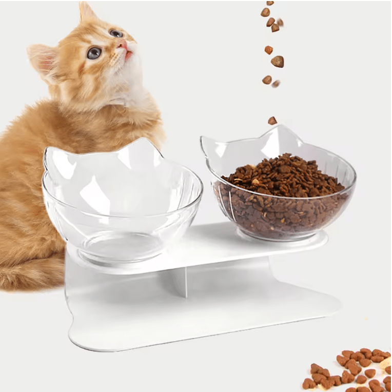 Gamelle chat chaton regarde croquettes tomber gamelles