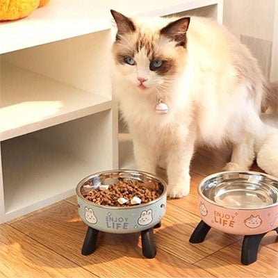 Gamelle chat surelevee chat debout derriere gamelle bleu rose
