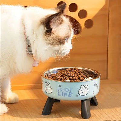 Gamelle chat surelevee chat devant gamelle bleu