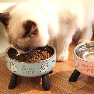 Gamelle chat surelevee chat mange croquettes gamelle bleu