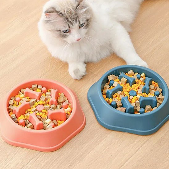 Gamelles anti glouton chat chat regarde gamelle