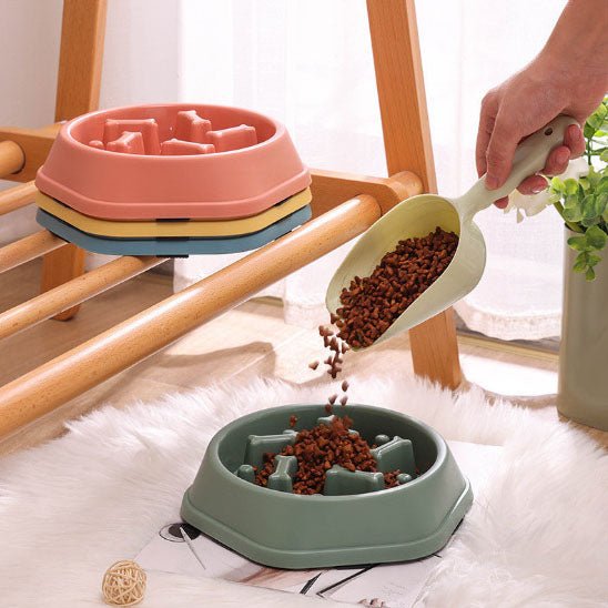 Gamelles anti glouton chat croquette gamelle