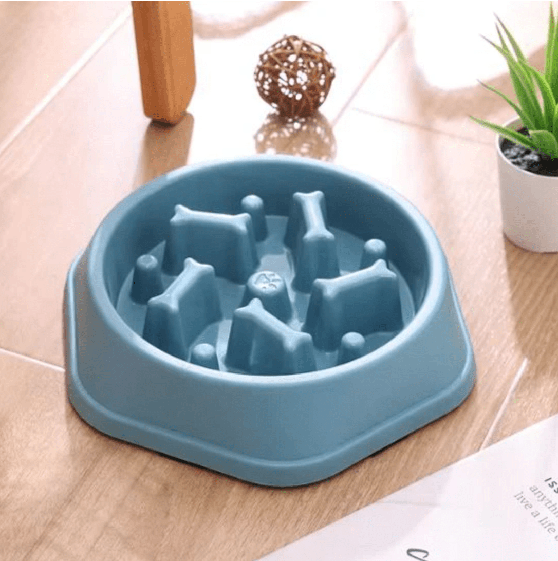 Gamelles anti glouton chat gamelle couleur bleue