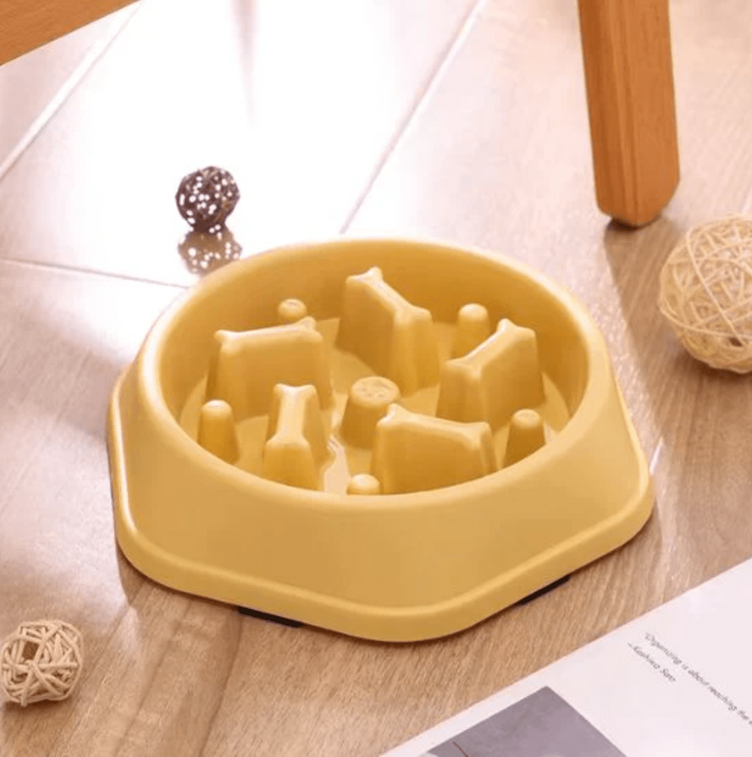 Gamelles anti glouton chat gamelle couleur jaune