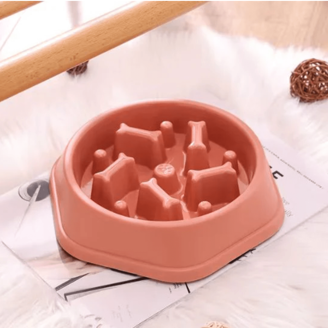 Gamelles anti glouton chat gamelle couleur rose