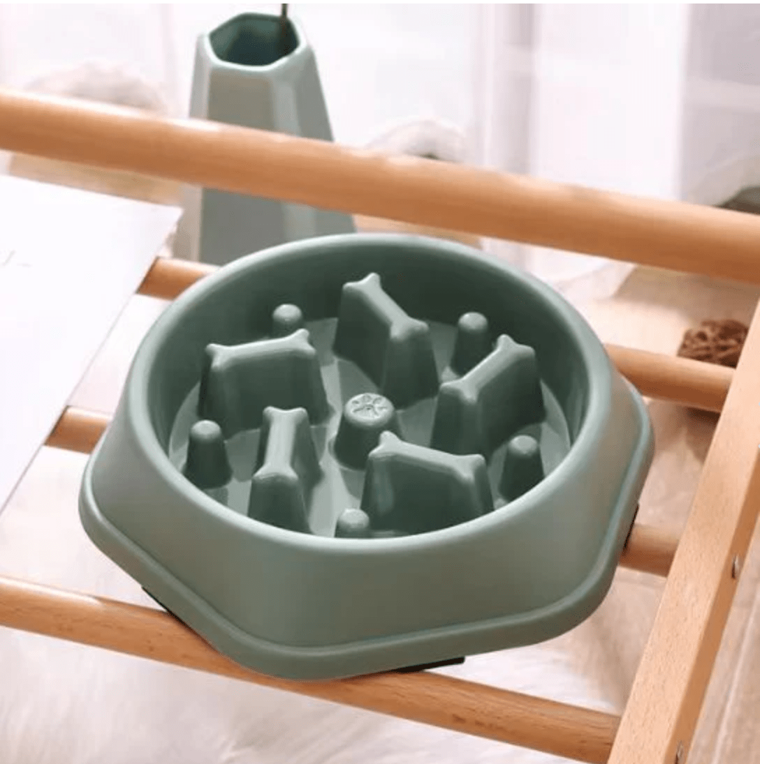 Gamelles anti glouton chat couleur verte