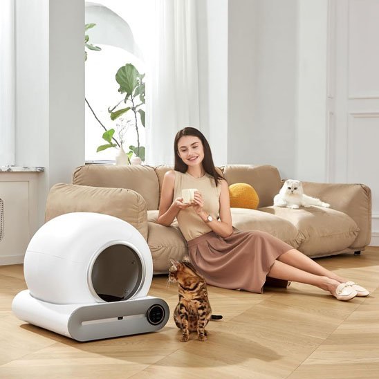 Litière automatique tranquilité avec humain