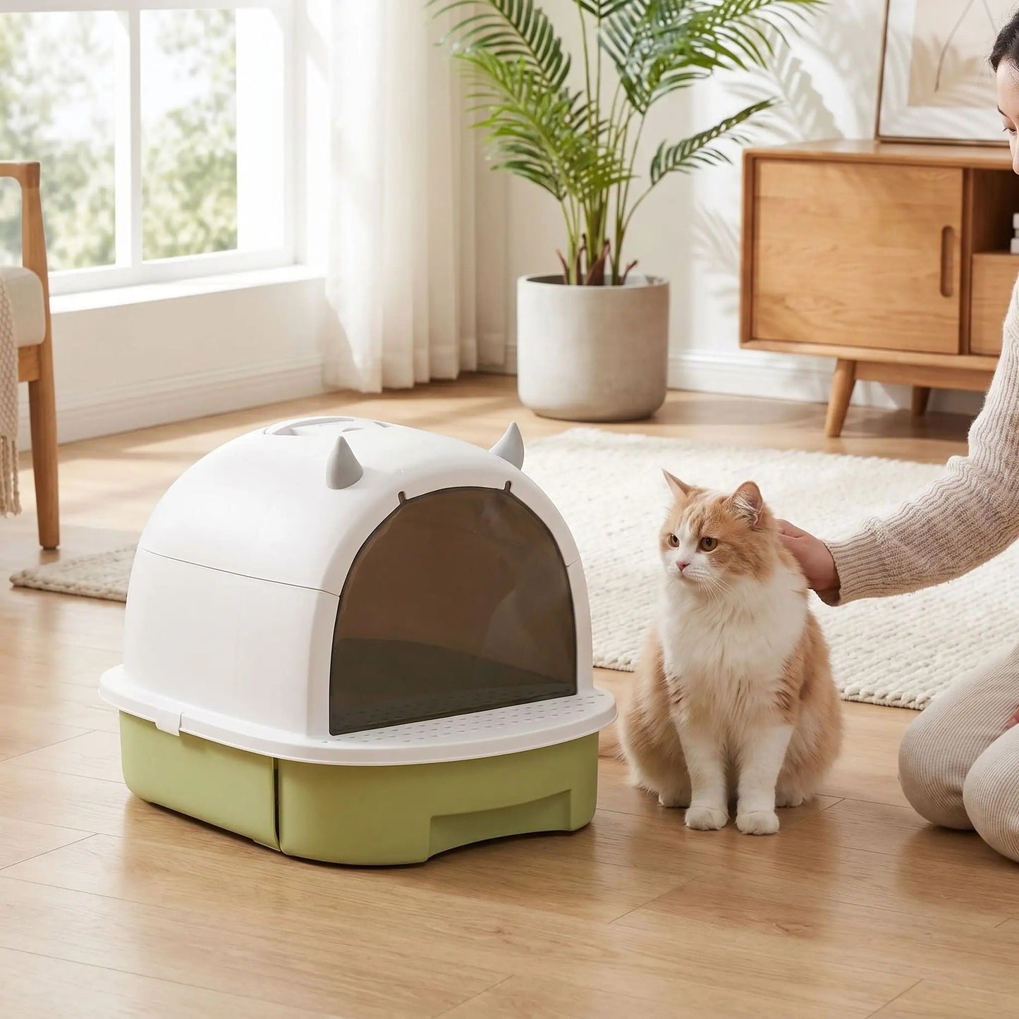 Maison toilette chat sérinité avec votre compagnon