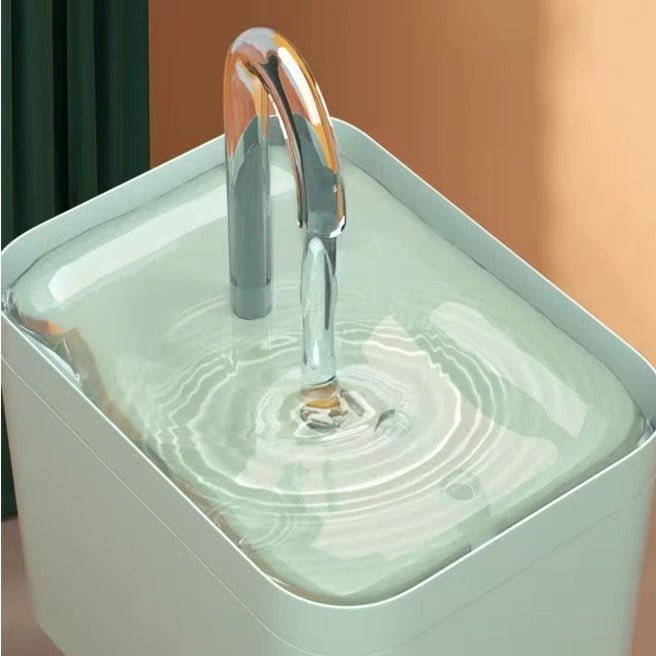 Chat distributeur eau robinet coule dans bac distributeur eau