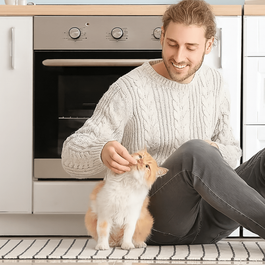 Distributeur eau pour chat chat humain tendresse