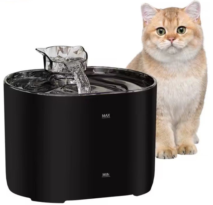 Fontaine a eau pour chat couleur noire