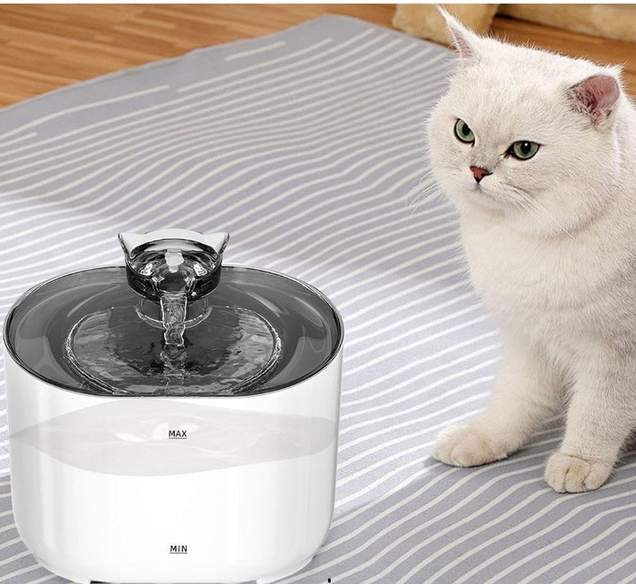 Fontaine a eau pour chat chat a cote fontaine blanc