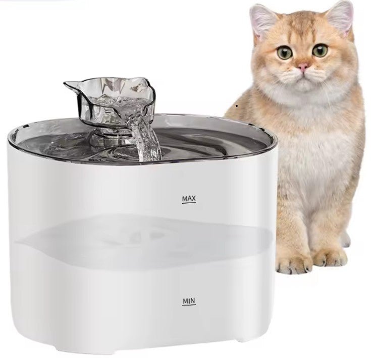 Fontaine a eau pour chat couleur blanc