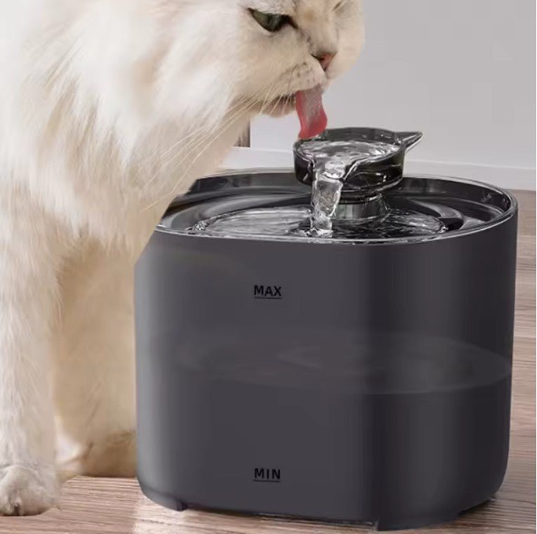 Fontaine a eau pour chat chat boit eau fontaine noire
