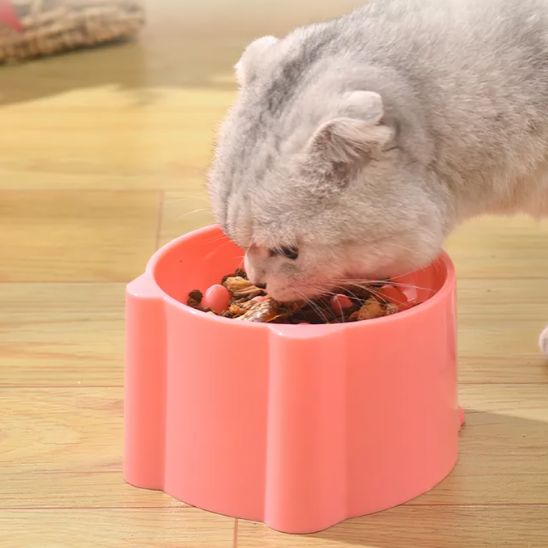 Gamelle anti glouton chat chat mange croquette gamelle couleur corail