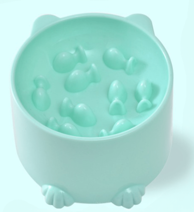 Gamelle anti glouton chat couleur menthe