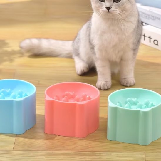 Gamelle anti goulton chat chat regarde gamelle differente couleur
