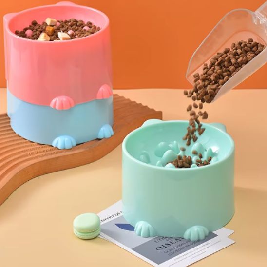 Gamelle anti glouton chat presentation gamelle cuillere croquette