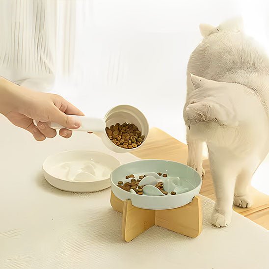 Gamelle anti glouton chat personne mettre croquette gamelle