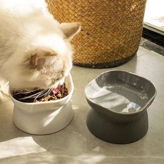 Gamelle chat deux gamelle chat mange gamelle blanche