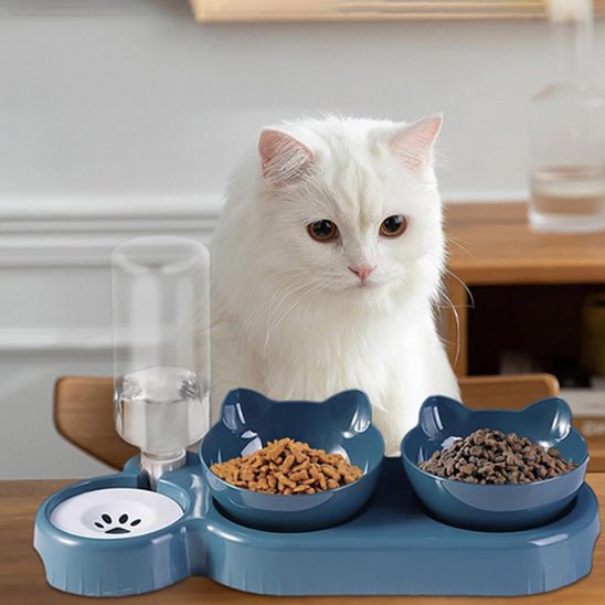 Gamelle Chat | DualHydroBowlâą - Patte et Moustache