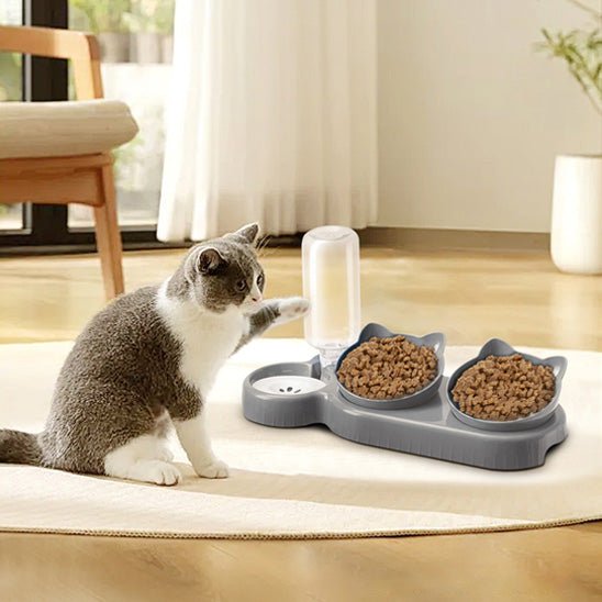 Gamelle Chat | DualHydroBowlâą - Patte et Moustache