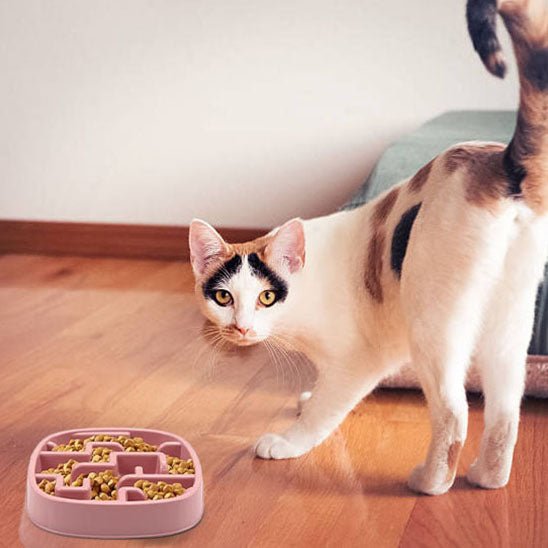 Gamelle pour chat anti glouton chat dirige gamelle