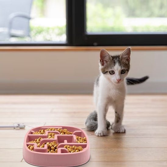Gamelle pour chat anti glouton chaton debout gamelle rose