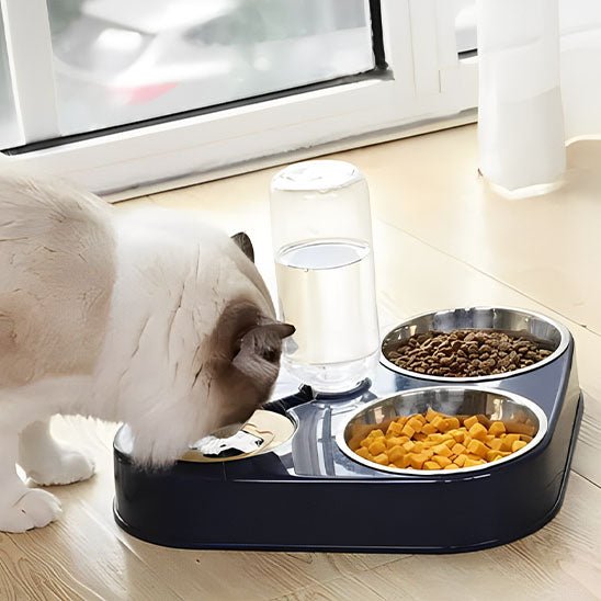 Gamelle pour chat chat boit gamelle