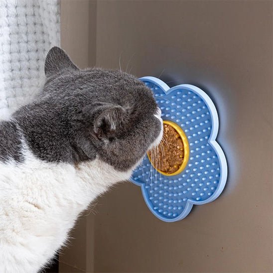 Tapis de lechage chat leche tapis bleu colle mur
