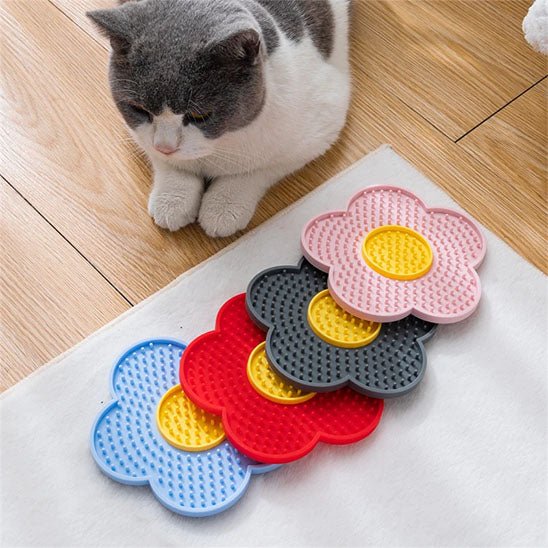 Tapis de lechage chat allonge devant tapis differentes couleurs