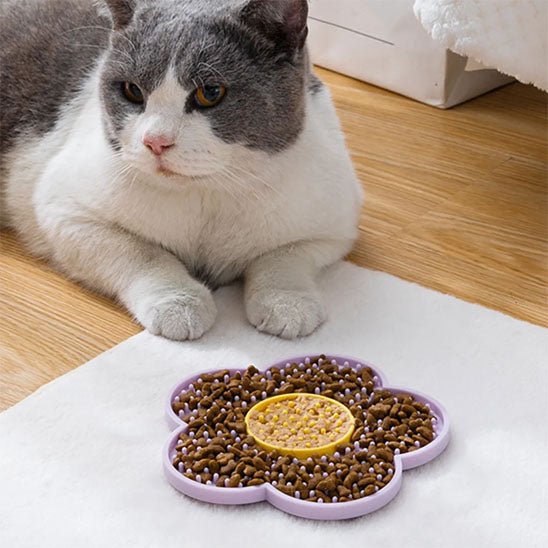 Tapis de lechage chat allonge devant tapis