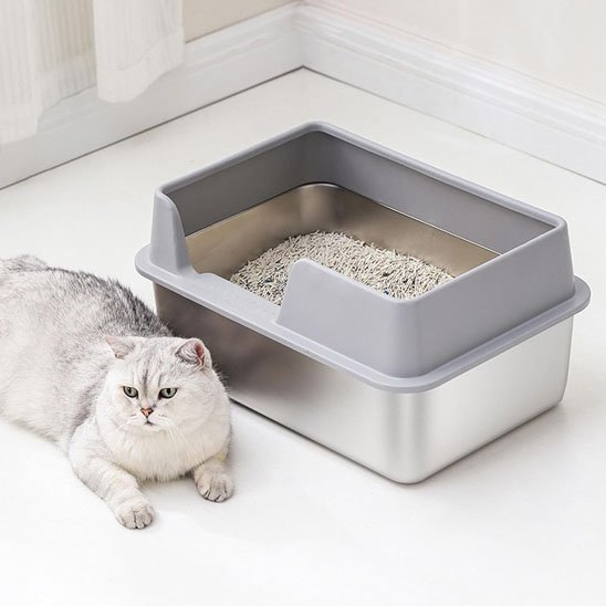 Bac à litière pour chat présentation