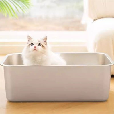 Bac litière chat chat dans bac