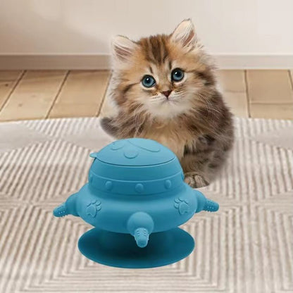 Biberon pour chaton chaton derriere biberon couleur bleu