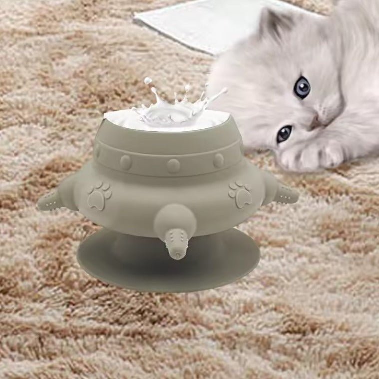Biberon pour chaton couche a cote biberon couleur gris