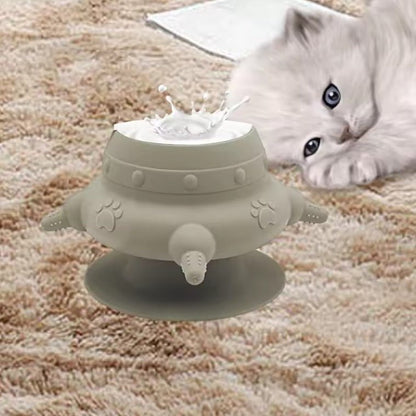 Biberon pour chaton couche a cote biberon couleur gris