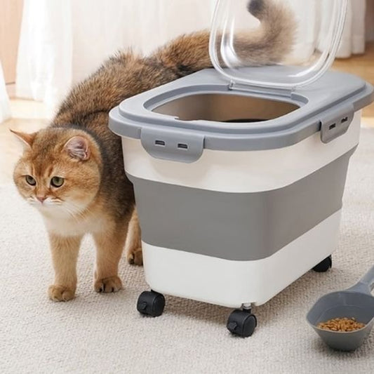 Boite à croquettes pour chat chat debout a cote boite