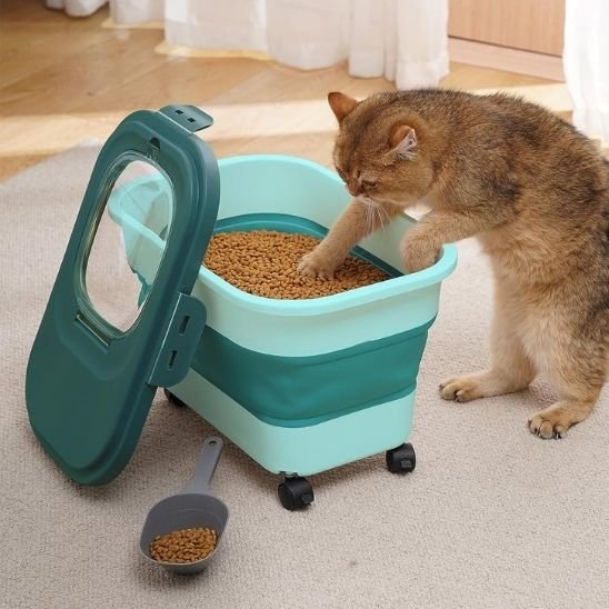 Boite à croquettes pour chat chat joue croquettes boite