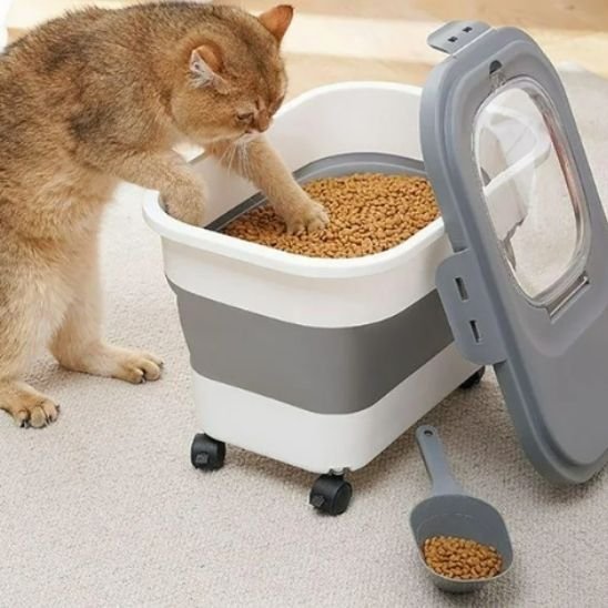 Boite à croquettes pour chat chat joue patte boite
