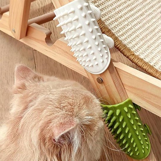 Brosse à chat chat se frottant partout dans n'importe où