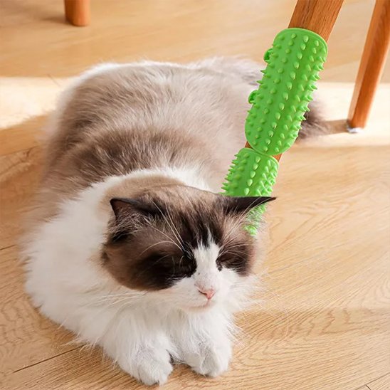 Brosse à chat le massage qui respecte le pelage