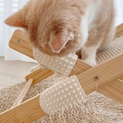 Brosse à chat chat joue avec brosse