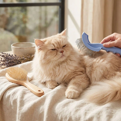 Brosse pour Chat Poil Long | Démêlante Douceur™