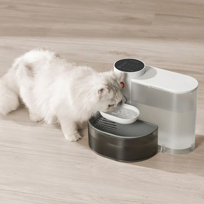Chat distributeur eau chat boit eau distributeur